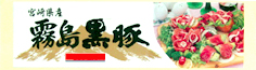 seal sample12
